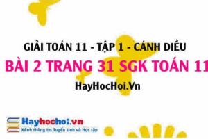 Giải bài 2 trang 31 Toán 11 tập 1 SGK Cánh Diều